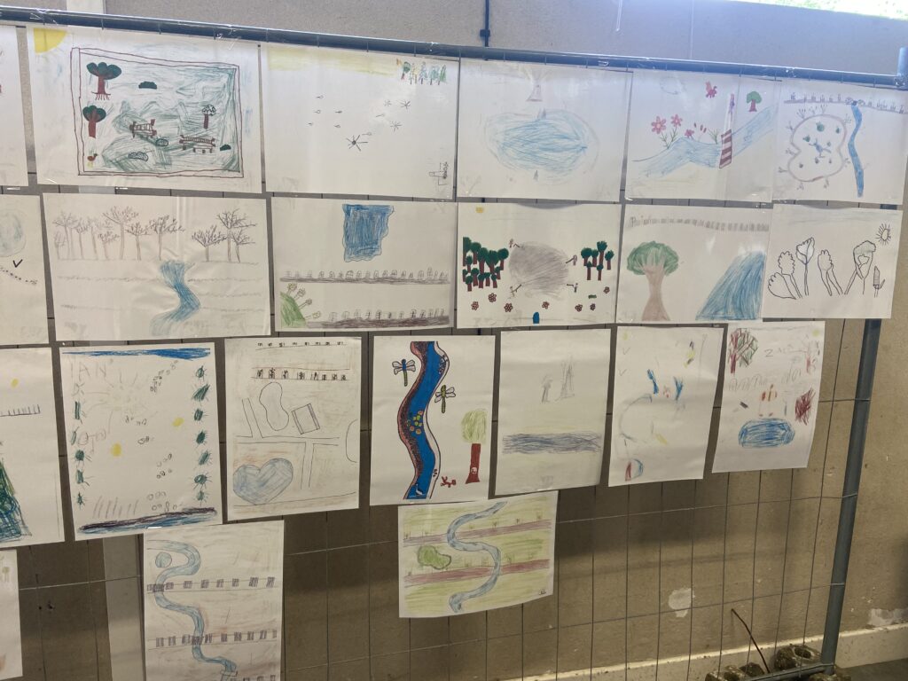 IMG 7161